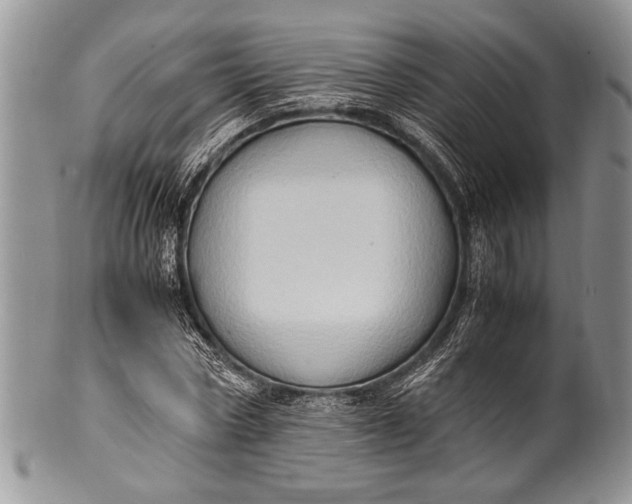 X0000100350778200806201540
