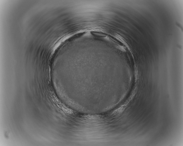 X0000100350781200806201540