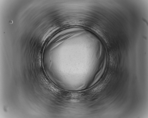 X0000100350782200806201540