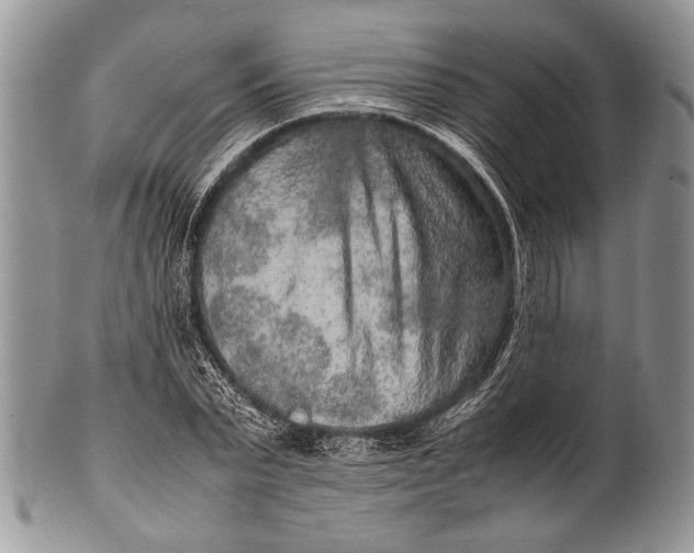X0000100350783200806201540