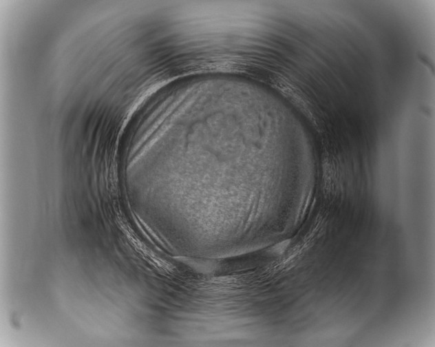 X0000100350784200806201540