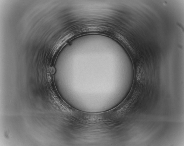 X0000100350786200806201540
