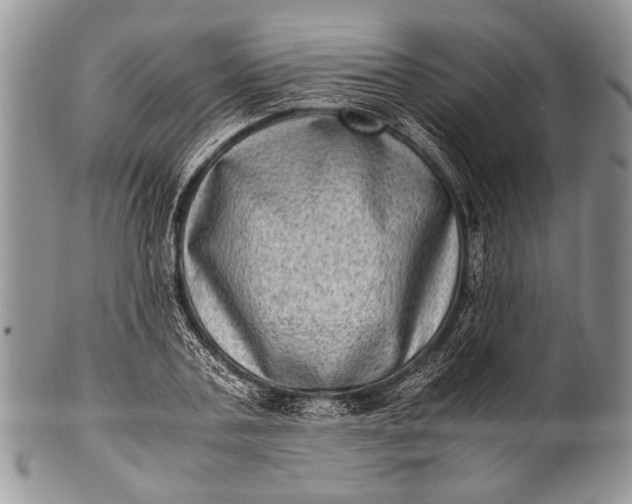 X0000100350787200806201540