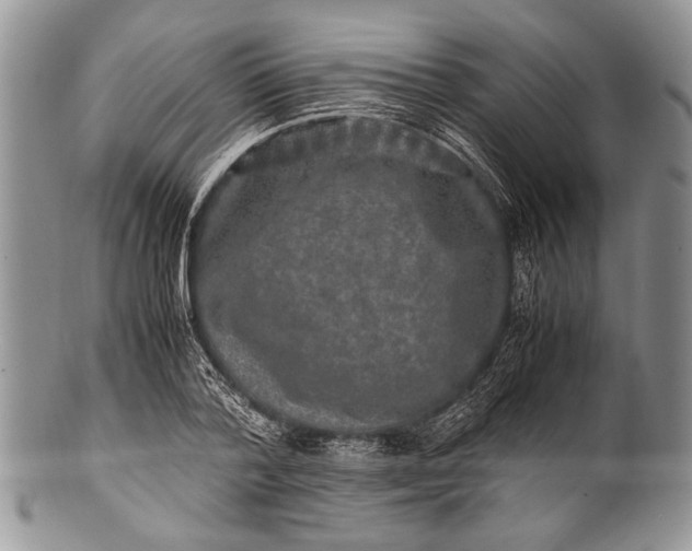 X0000100350788200806201540