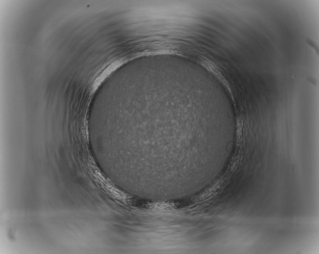 X0000100350789200806201540
