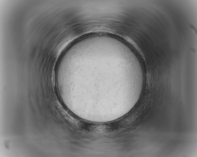 X0000100350791200806201540