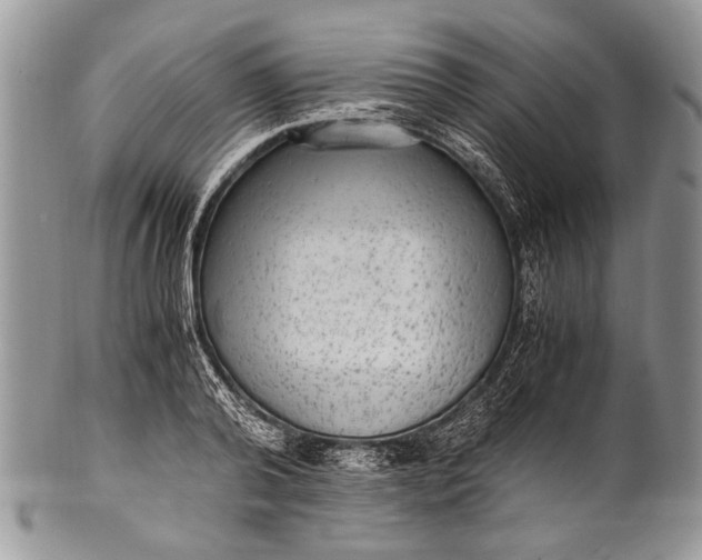 X0000100350792200806201540