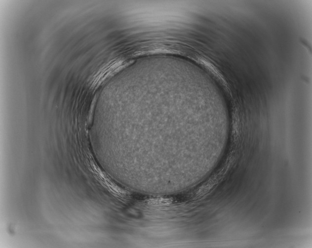 X0000100350793200806201540