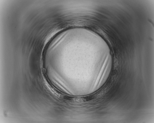 X0000100350795200806201540