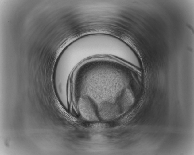 X0000100350797200806201540