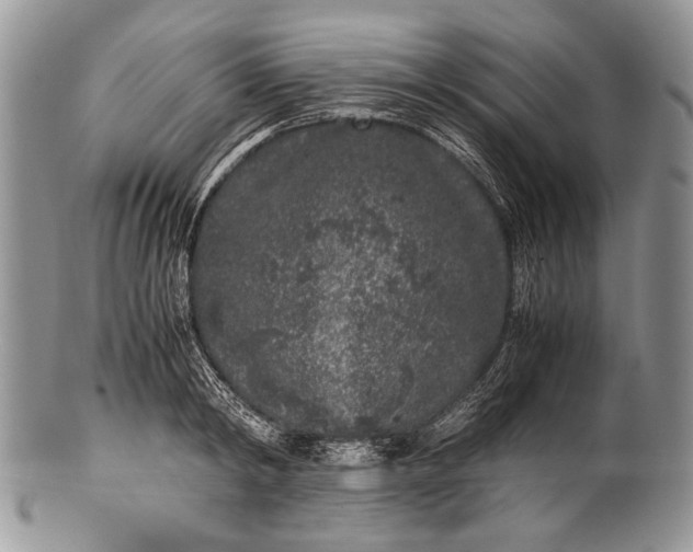 X0000100350798200806201540