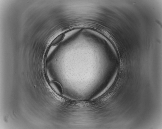 X0000100350803200806201540