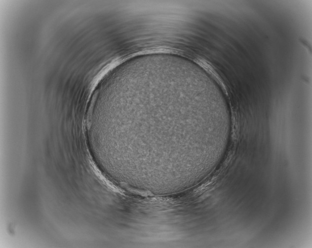 X0000100350805200806201540