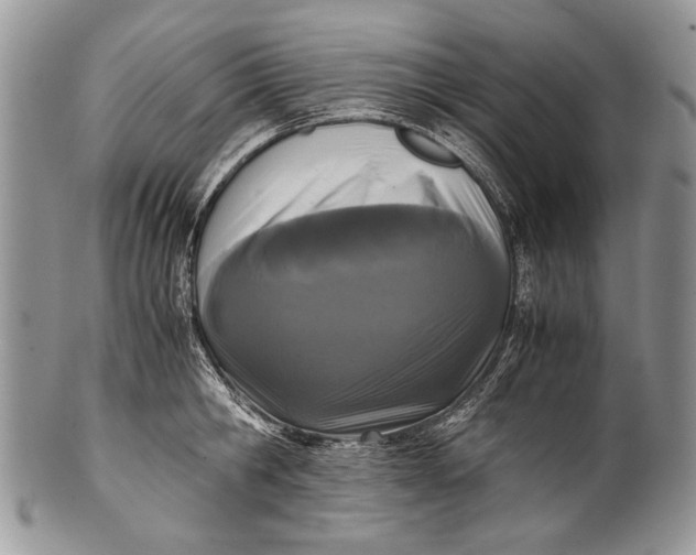 X0000100350806200806201540