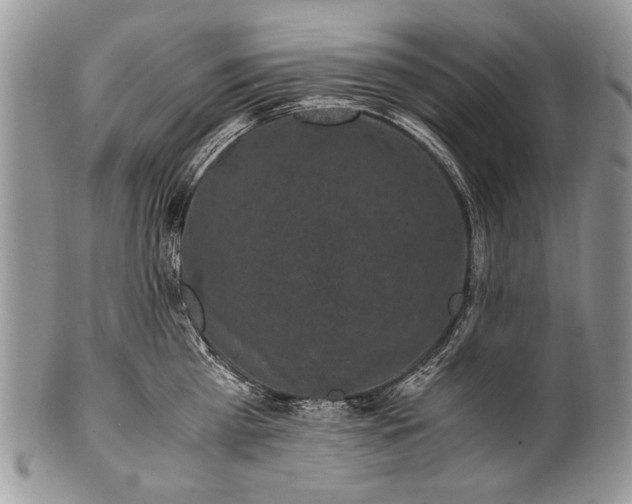 X0000100350809200806201540