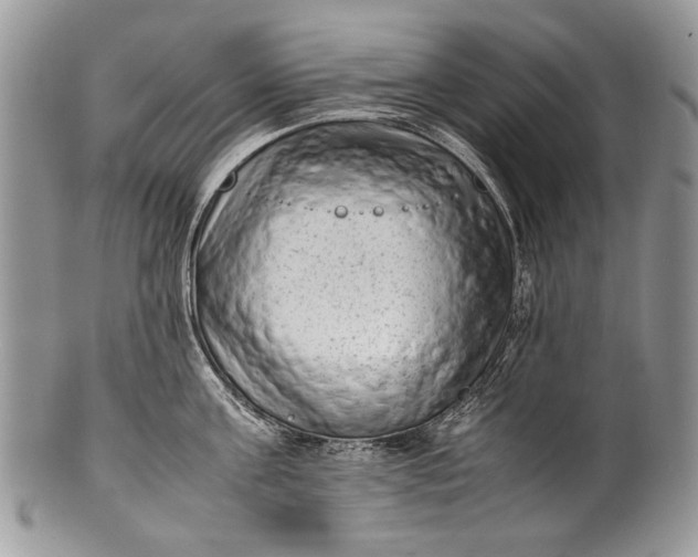 X0000100350811200806201540