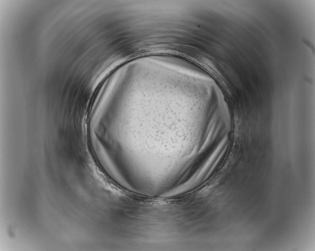X0000100350814200806201540
