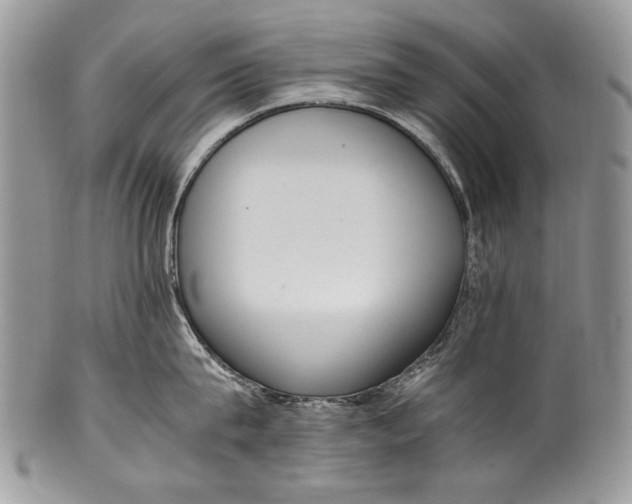 X0000100350815200806201540