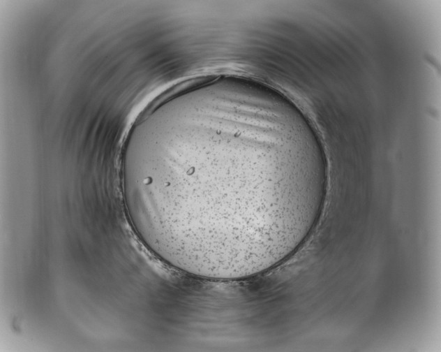 X0000100350816200806201540