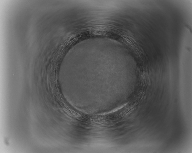 X0000100350817200806201539
