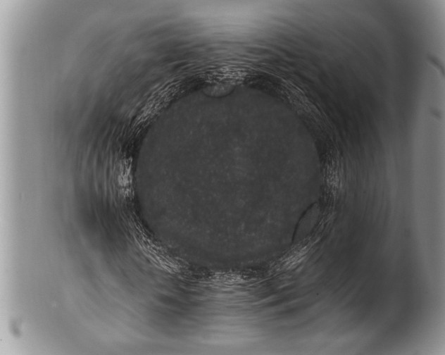 X0000100350818200806201539