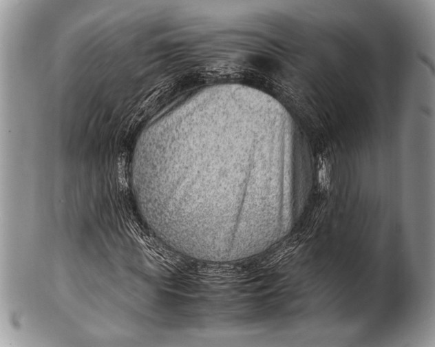 X0000100350819200806201539