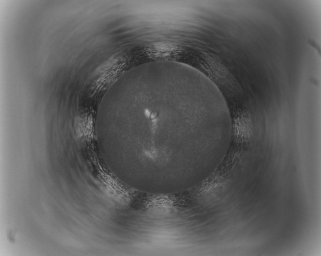 X0000100350820200806201539