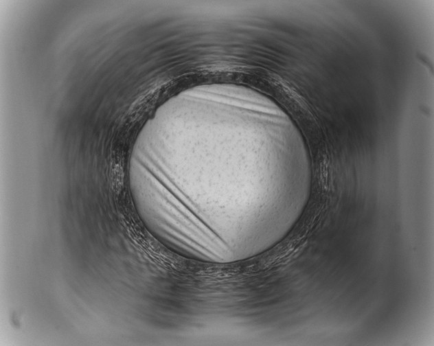 X0000100350821200806201539