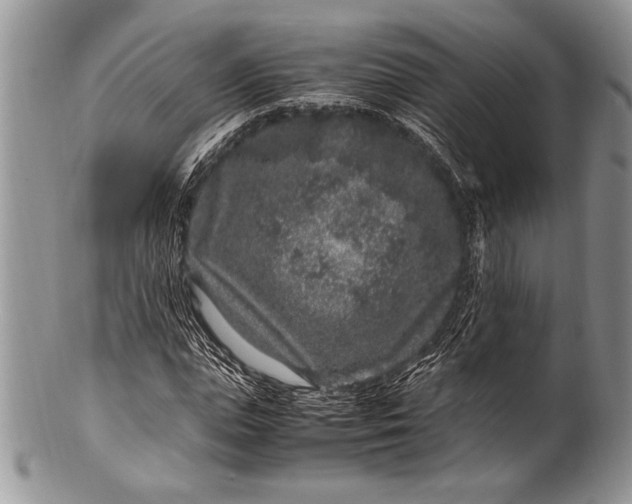 X0000100350823200806201539