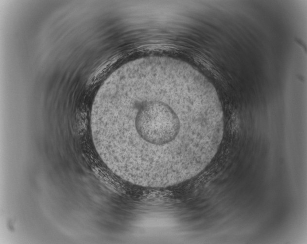X0000100350824200806201539