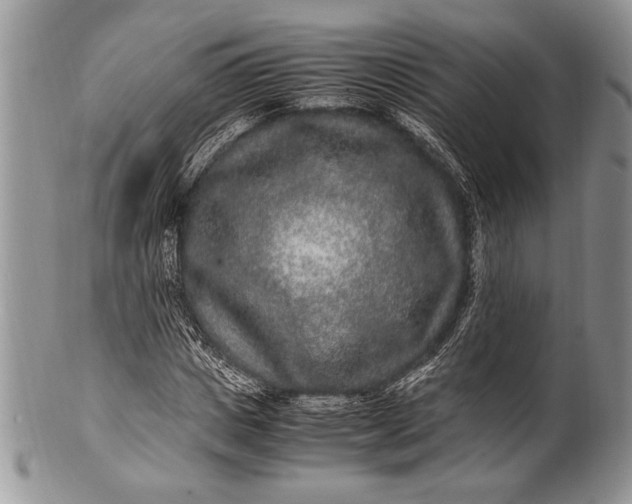 X0000100350825200806201539