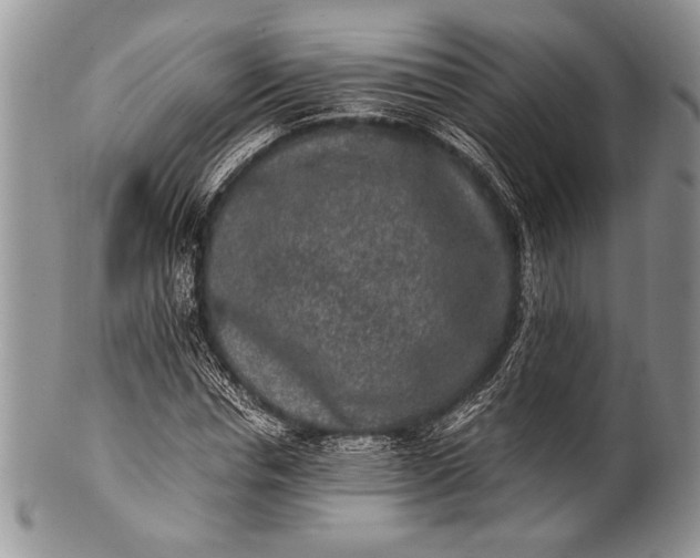 X0000100350826200806201539