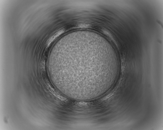 X0000100350827200806201539