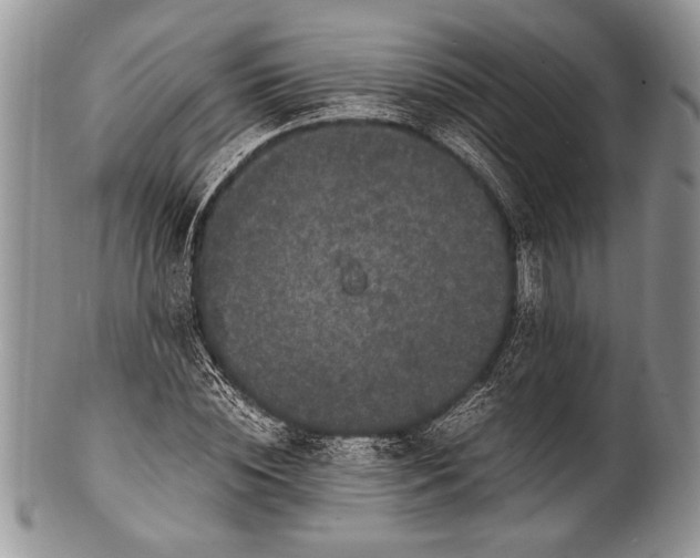 X0000100350828200806201539