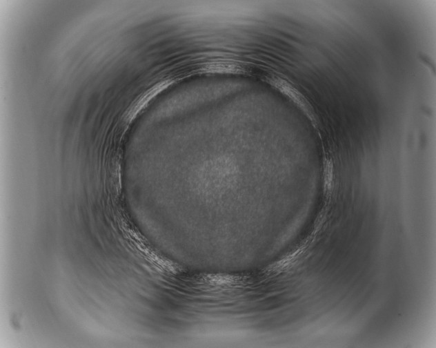 X0000100350829200806201539