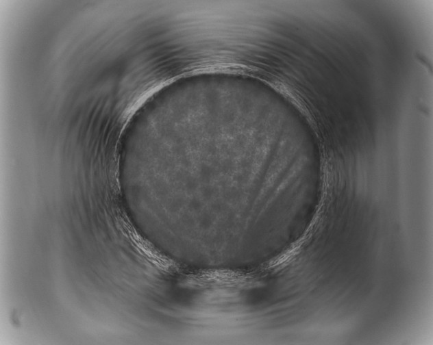 X0000100350830200806201539