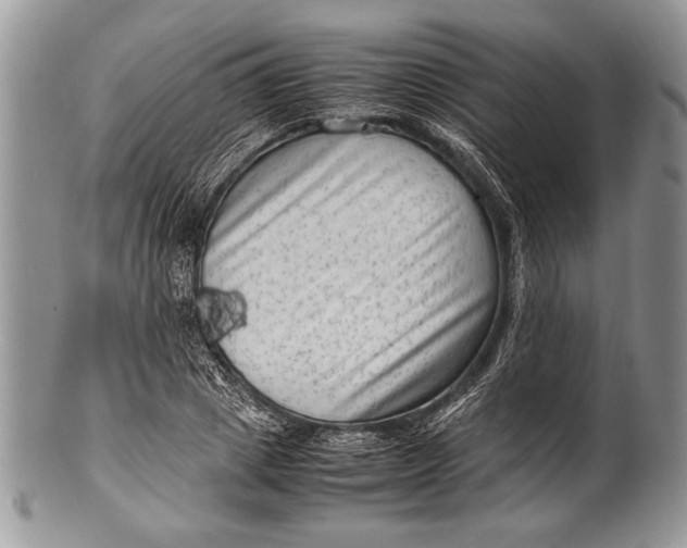 X0000100350833200806201539