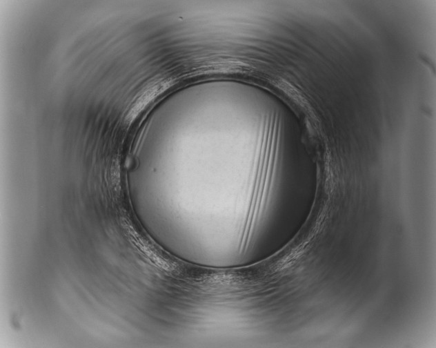 X0000100350834200806201539