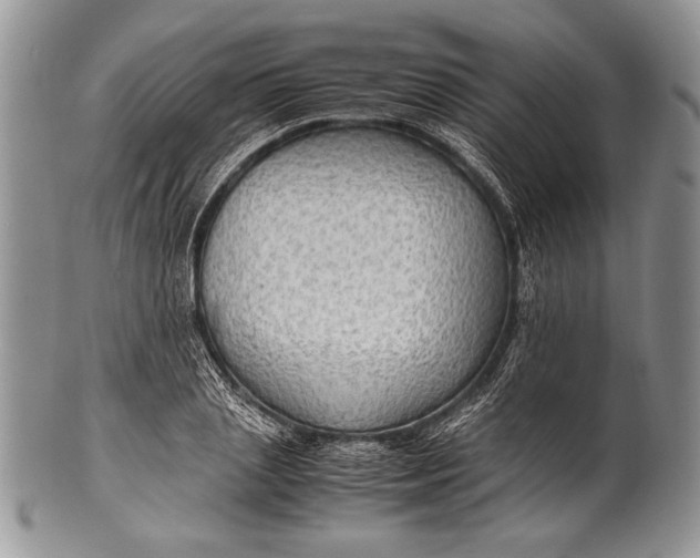 X0000100350837200806201539