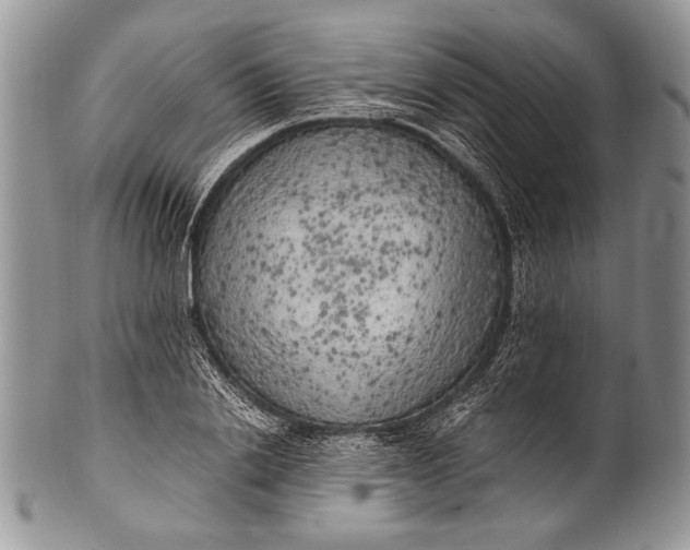 X0000100350838200806201539