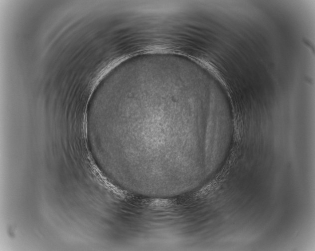 X0000100350839200806201539