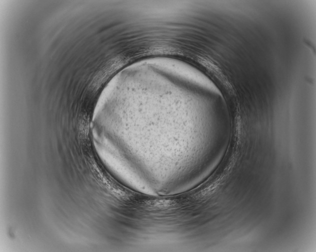 X0000100350841200806201539
