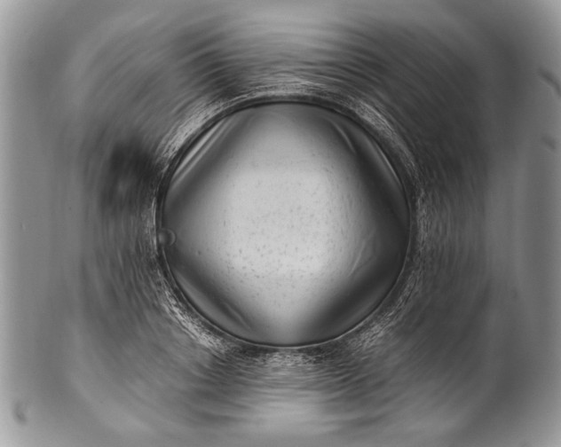 X0000100350842200806201539