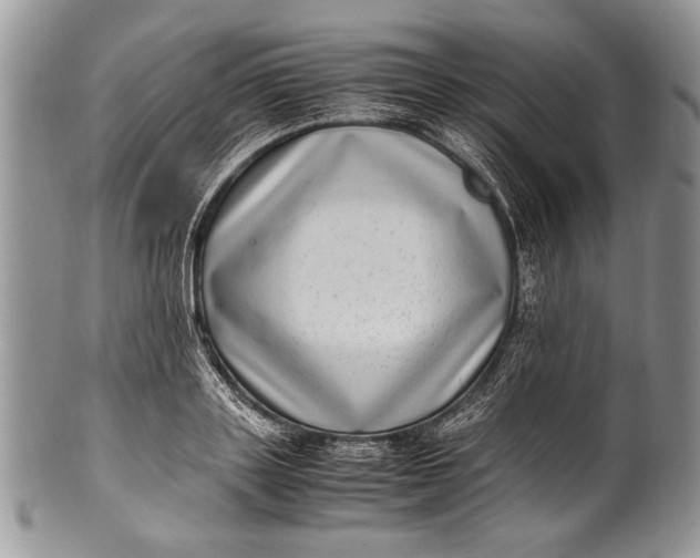 X0000100350843200806201539