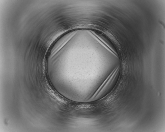 X0000100350846200806201539