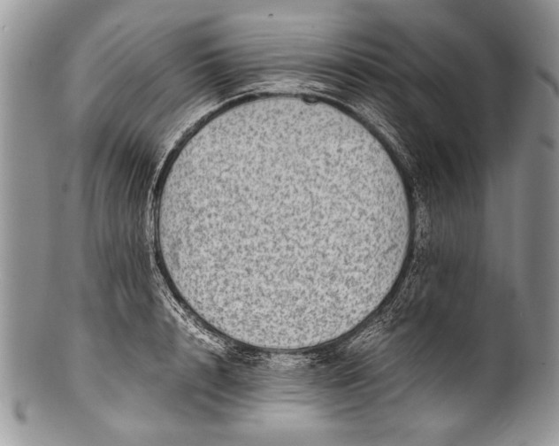 X0000100350848200806201539