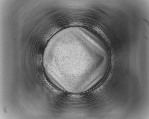 X0000100350849200806201539