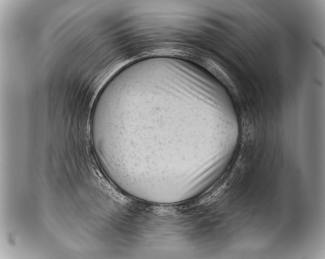 X0000100350852200806201539
