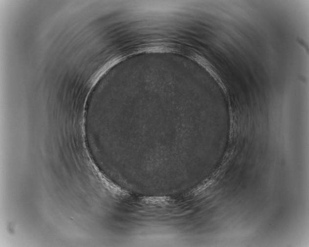X0000100350853200806201539