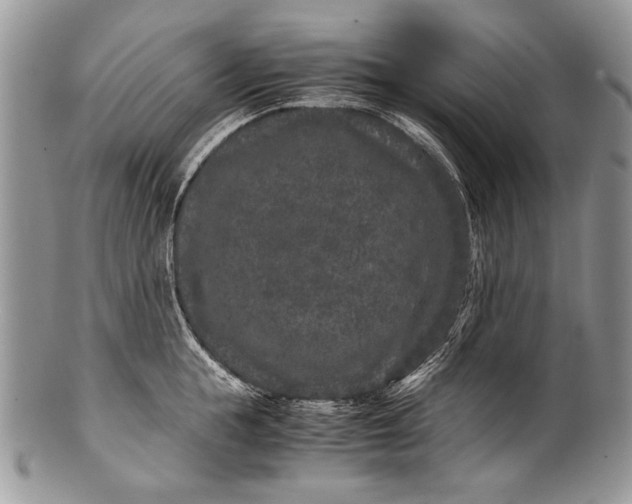 X0000100350855200806201539